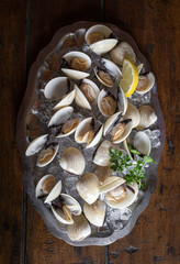 Fresh clams on a tray with ice and lemon to preserve them well
