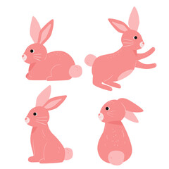 Cute rabbit collection
