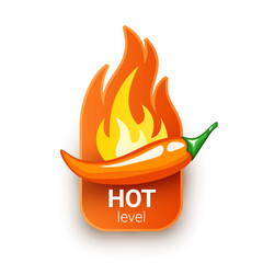 Green chili pepper pod and fire flame from behind. Hot spiciness level. Logo design for hot sauces or other spicy food