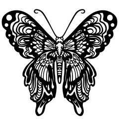 Obraz premium Butterfly