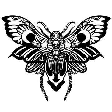 recommend clip art: Butterfly hand drawn