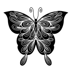 Butterfly hand drawn