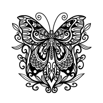 Butterfly