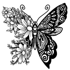 Butterfly hand drawn