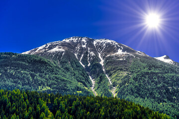 Alp mountains covered with forest, Fiesch, Goms, Wallis, Valais,