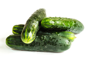 bio Cucumber white background close up