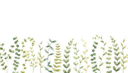 Watercolor greenery seamless pattern with leaves, and plants. Panoramic horizontal isolated illustration. Garden background in vintage style.