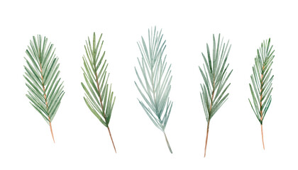 Watercolor Christmas hand-drawn botanical winter greenery, fir pine branches. Perfect for holiday invitations, card design
