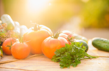 Fresh vegetables on a wooden background. Cucumbers, tomatoes, garlic, dill. Contoured sunlight. Organic farm. Organic vegetables. Summer harvest.