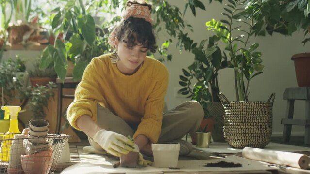 Medium shot of young woman in gloves sitting on floor in indoor garden and repotting houseplant