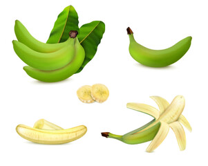 Green Banana Set © Macrovector