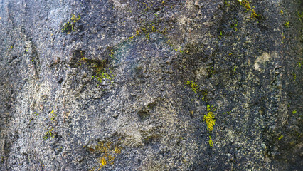 rock-like concrete texture as a background