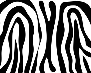 vector zebra skin pattern texture