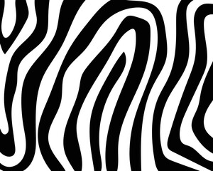 vector zebra skin texture with stripes.
