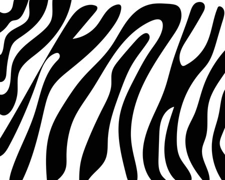 vector seamless zebra skin. stripes pattern