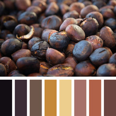 A background of hot roasted chestnuts in a colour palette with complimentary colour swatches