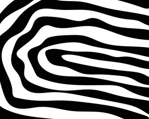 vector seamless pattern with zebra skin.