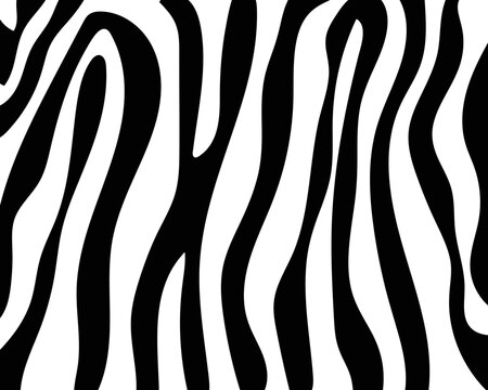 vector pattern zebra skin.