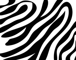 vector zebra skin pattern texture