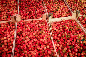 Sweet cherry on a farm market
