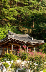 Fototapeta na wymiar korea garden in autumn