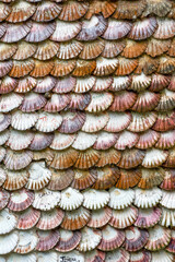 Fototapeta na wymiar scallop shell tiles church of portugal