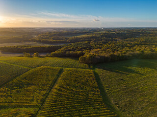 Aerial view Bordeaux Vineyard and forest at sunrise, film by drone in autumn, Entre deux mers, High...