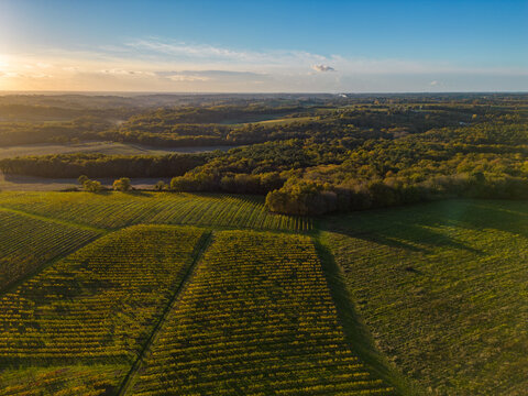 Aerial view Bordeaux Vineyard and forest at sunrise, film by drone in autumn, Entre deux mers, High quality photo
