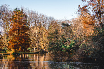 Lake with autumn trees