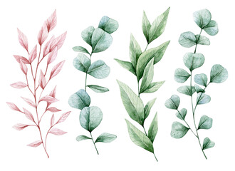 Watercolor illustration set with eucalyptus branches, green and pink leaves. Isolated on white background. Hand drawn clipart. Perfect for card, postcard, tags, invitation, printing, wrapping.