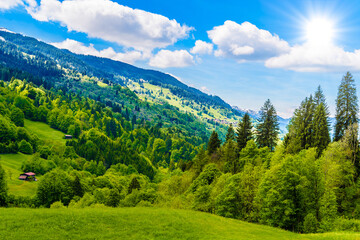 Forest in Alps mountains, Klosters-Serneus, Davos, Graubuenden, - obrazy, fototapety, plakaty