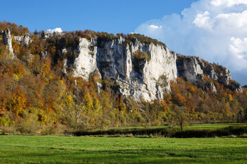 Schaufelsen im  Oberen Donautal bei Stetten a. k. M. (Upper Danube Valley)