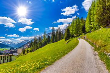 Road in green field of Alps mountains, Davos, Graubuenden, Swit