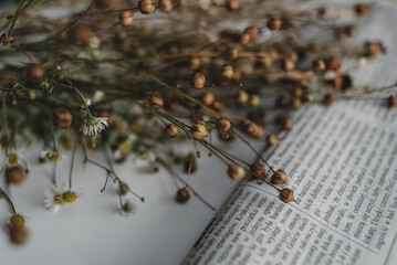A bouquet of dried wildflowers and a folded newspaper in retro style on a white background