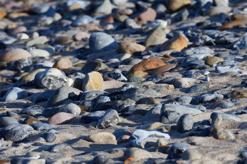 Strand an der Ostsee bei Dranske