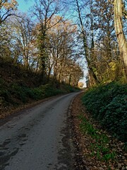 La Neuville Au Pont, November 2021: Stroll in the forest and countryside of Argonne at La Neuville Au Pont