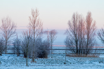 snowy, view, weather, sunrise, ice, frost, a ray of light, snow-covered, frozen, ecology, cold, snow, silhouette, rime, mystical, winter, coldly, foliage, morning, fragile, first, colorful, branch, li