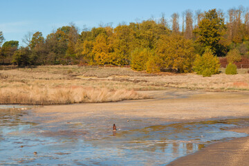 Panoramic view of the natural monument of Caldara of Manziana in Lazio at the first rays of sun of the day