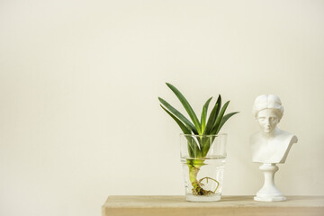 A print with a bud of a succulent or aloe plant and a bust of a goddess on a soft cream background