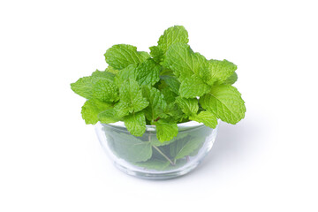 fresh mint leaves
