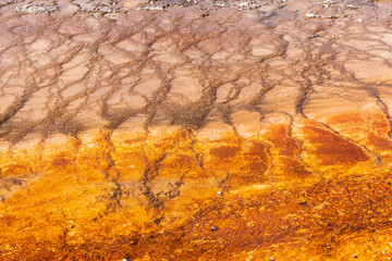 Grand Prismatic spring at Yellowstone National Park. USA.