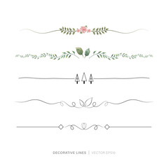 Page end or divider drawing line collection, botanical theme - obrazy, fototapety, plakaty