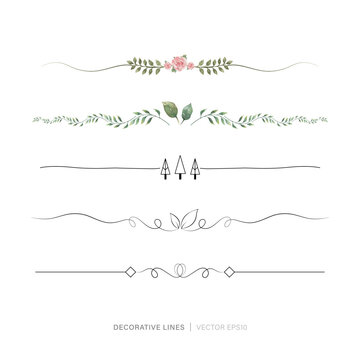 Page End Or Divider Drawing Line Collection, Botanical Theme