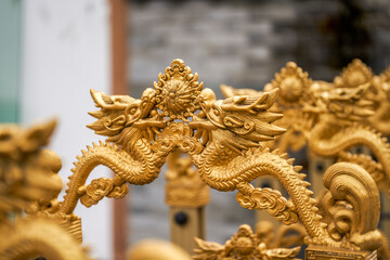 Close-up of retractable iron gate carved with golden dragon pattern