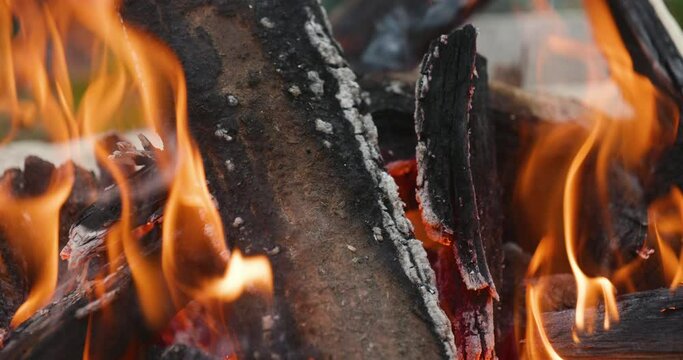 Camp fire. Close up.  High quality video 6k 10bit downscale 4k	
