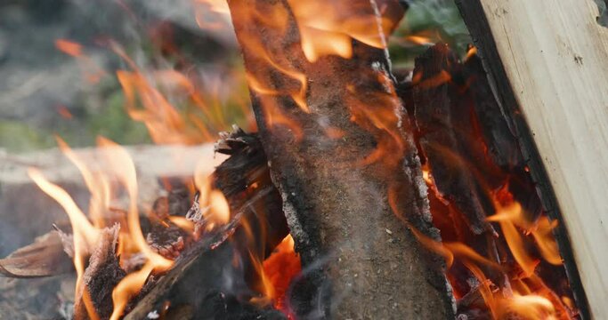 Camp fire. Close up.  High quality video 6k 10bit downscale 4k	