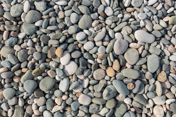 Portrait of young woman in black bikini on tropical beach looking at camera. Summer vacation and tanning concept.