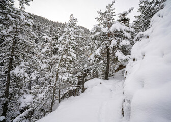 Town snow Catalan Pyreness