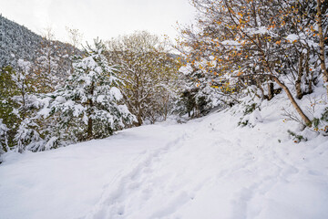 Town snow Catalan Pyreness