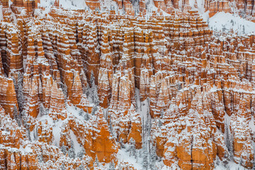 Winter in Bryce Canyon National Park, United States Of America